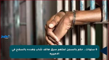 6 سنوات.. حكم بالسجن لمتهم سرق هاتف شاب وهدده بالسلاح في الأميرية